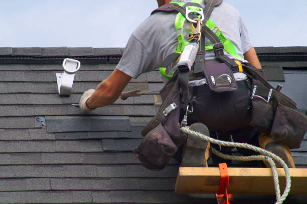 Best Solar Panel Roofing Installation  in Fishersville, VA