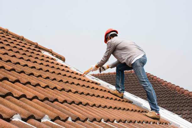 Best Roof Insulation Installation  in Fishersville, VA